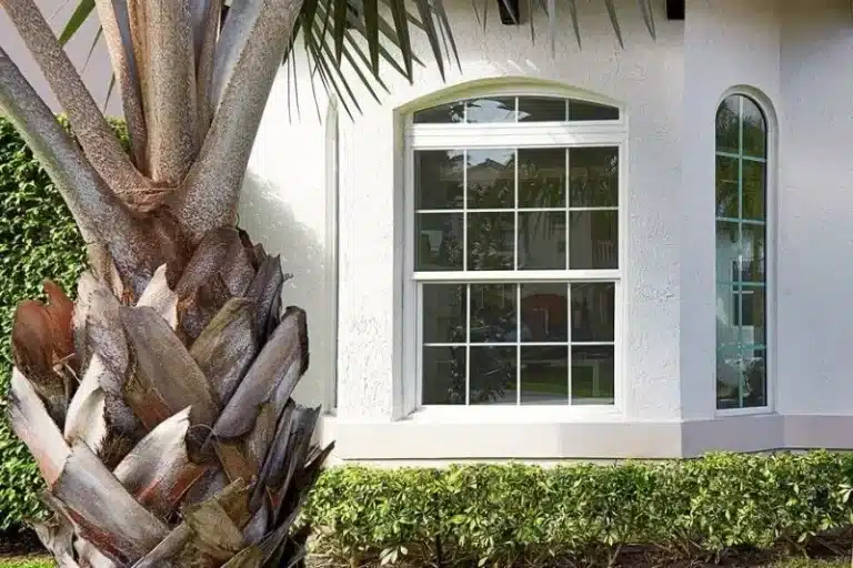 Exterior view of a white stucco home featuring arched multi-pane windows and a palm tree, showcasing a completed Impact Window Installation.